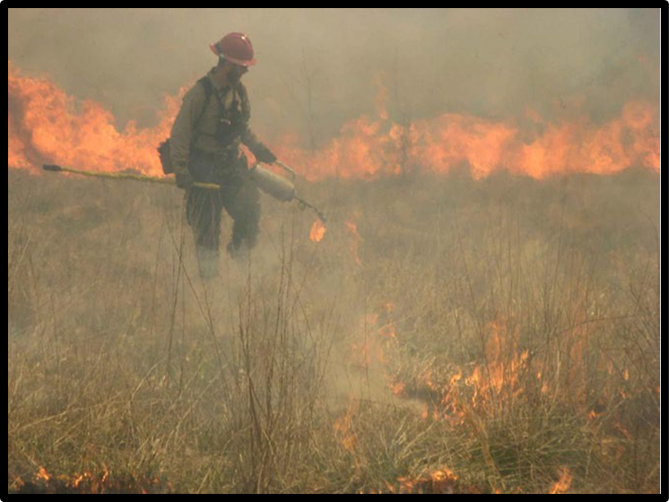 Firefighter battling wildfire