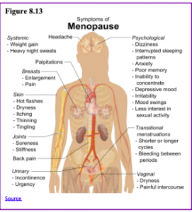 Menopause: MedlinePlus Medical Encyclopedia