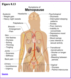 How The Penis Changes as Men Age (Size, Shape, Sexual Health) - Prestige  Men's Medical