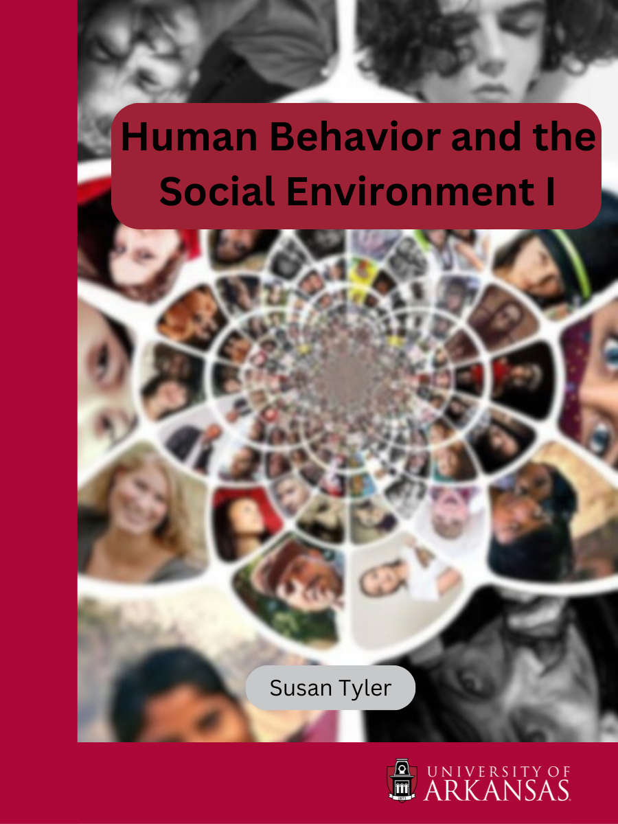Cover image for Human Behavior and the Social Environment I
