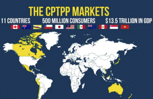 The CPTPP Markets for Trade