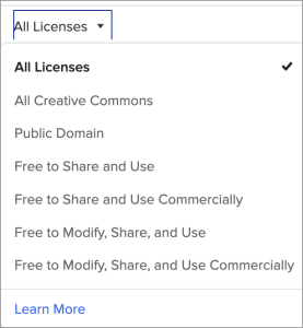 screenshot of DuckDuckGo image license options