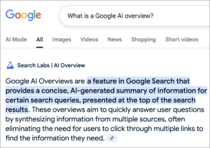 Screenshot of Google's AI overview