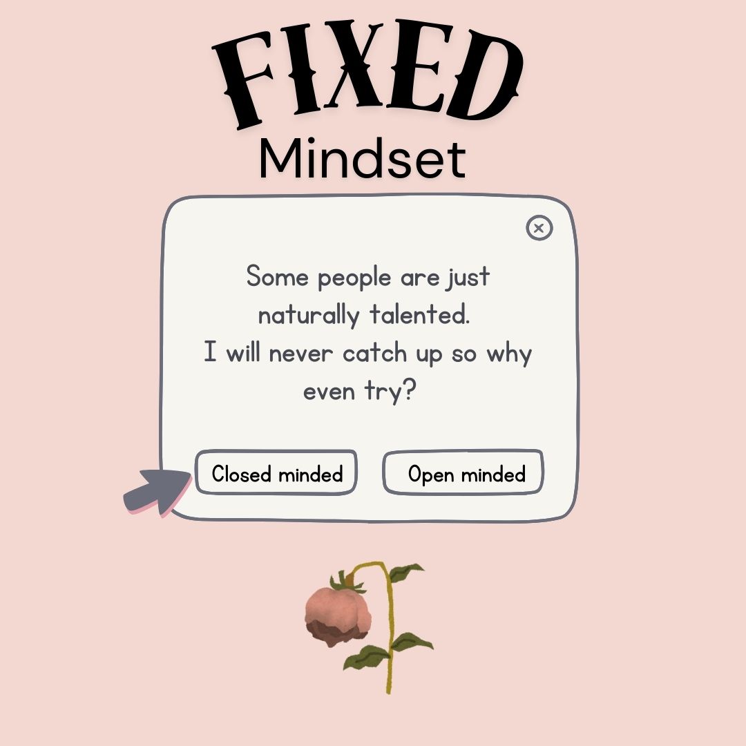 Fixed mindset