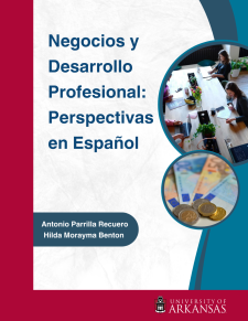 Negocios y Desarrollo Profesional: Perspectivas en Español book cover