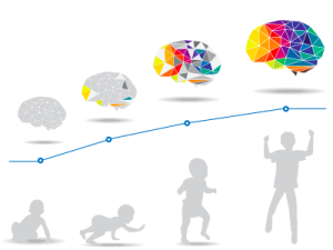 An illustration of a baby developing to a teenager alongside brains developing in mass and connections.