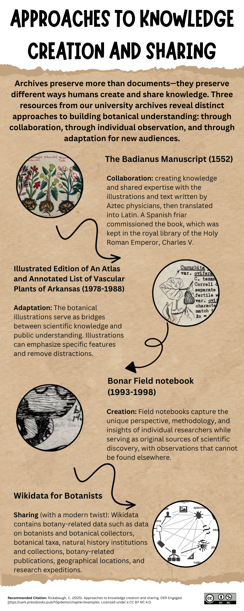 Infographic outlining approaches to knowledge creation and sharing through archives with images of botanical manuscripts, an atlas, a field notebook, and a network map.